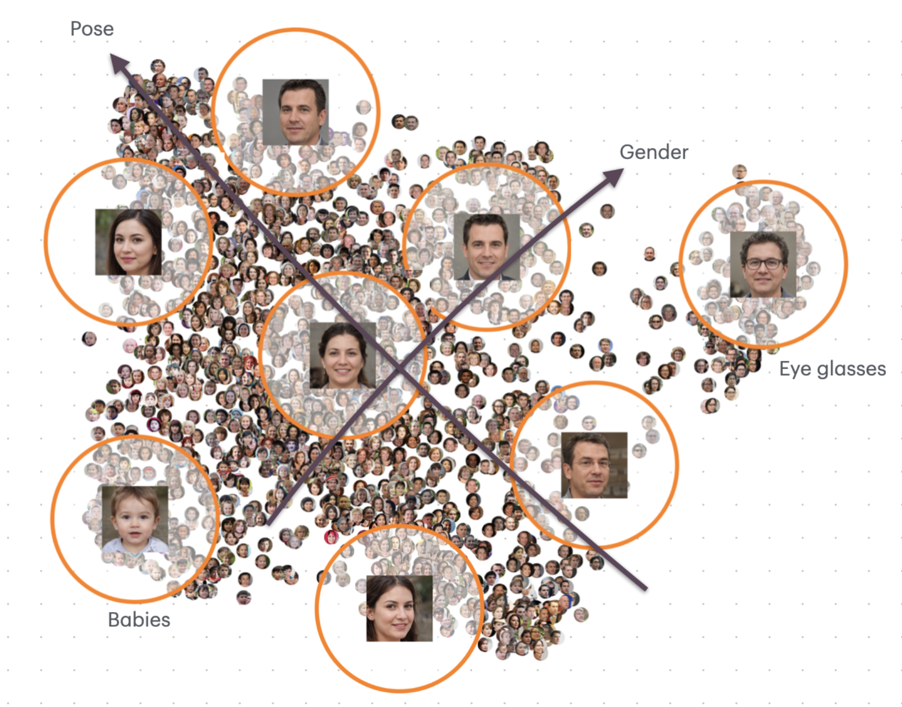 A two-dimensional map of thousands of StyleGAN2 face samples drawn as small
             thumbnails. Circles mark neighbourhoods — babies at the lower left, faces in
             eyeglasses off to the right — and two long arrows cross the middle of the
             cloud, one labelled Pose and one labelled Gender.